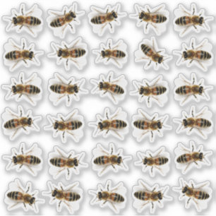 30 Honeybee Honung Burk Lid Stickers Klistermärken