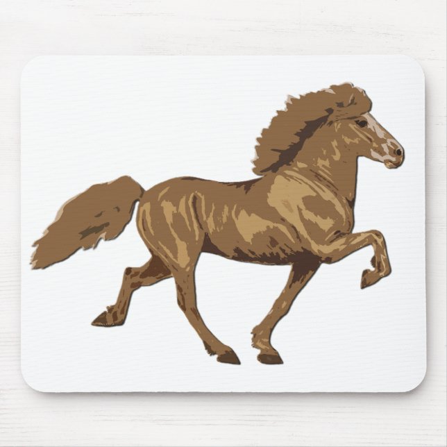 30-talvintageisländska musmatta (Framsidan)