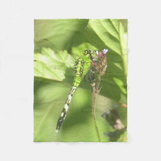 30" x40" Blankett med bildskärm ITW1, originalfoto Fleecefilt