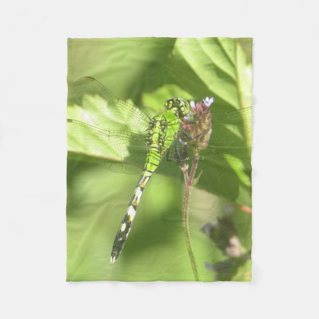 30" x40" Blankett med bildskärm ITW1, originalfoto Fleecefilt (Framsidan)