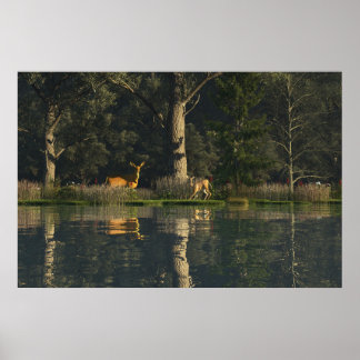 30" x 24" pappersaffisch med "Startled"-bild Poster