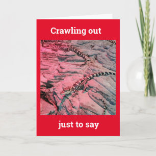 *30års födelsedag* FRÅN DEN HÄR COOLAN SNAKE Kort