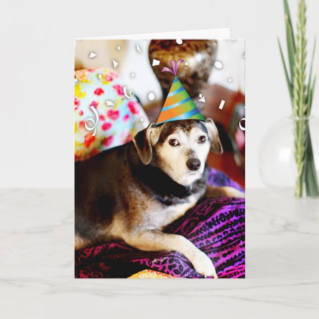 311 Jag är trött! Jag kan bara kissa med spänning Kort (Framsida)