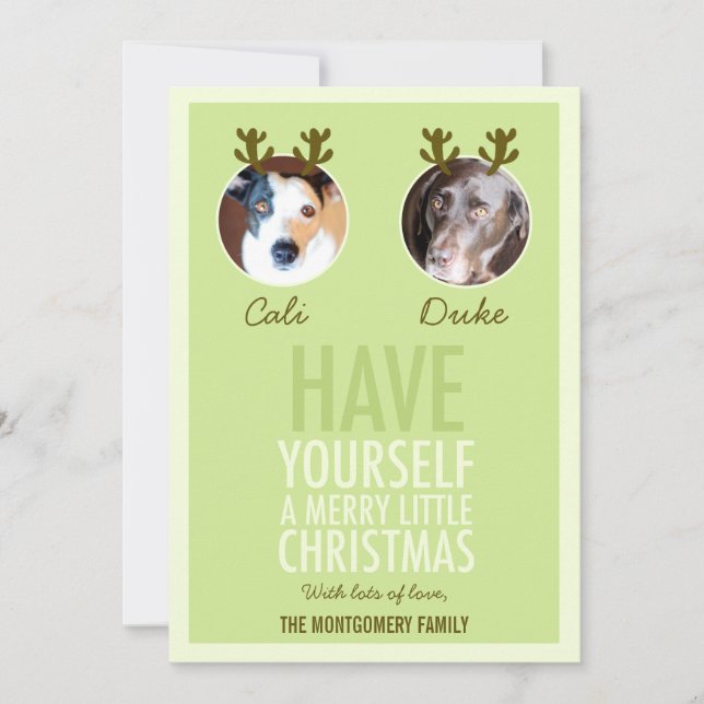 311 Moss Grönt Pet Antler Helgdag-fotokort Julkort (Framsida)
