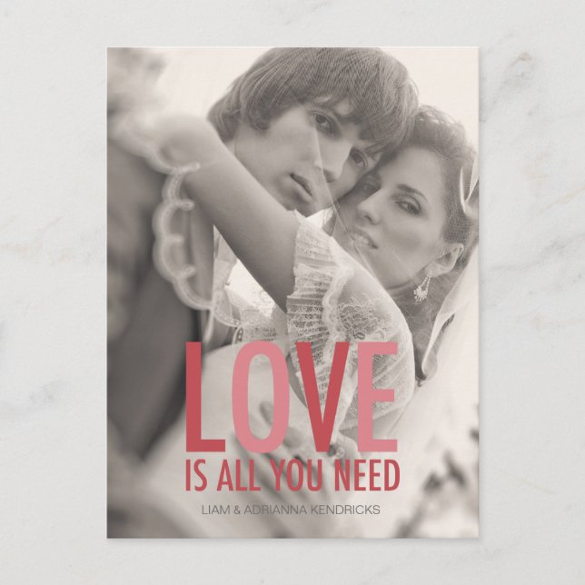 311 Photo Kärlek är allt du behöver Röd Rosa Vykort (Framsida)