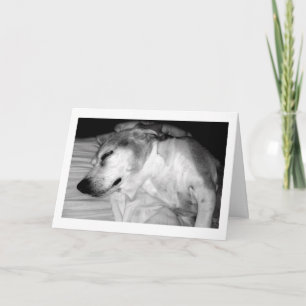 311 Sten-kort för Pension Kort