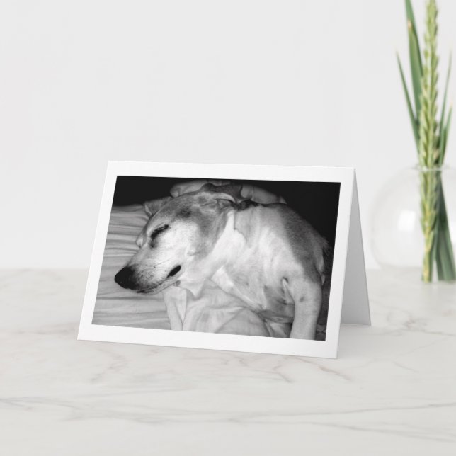 311 Sten-kort för Pension Kort (Framsida)