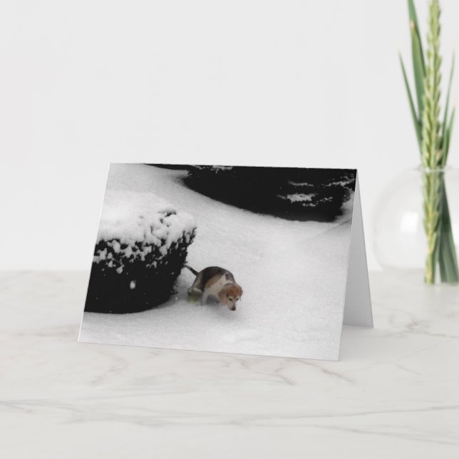 311-Studenten Congratz Kort (Framsida)