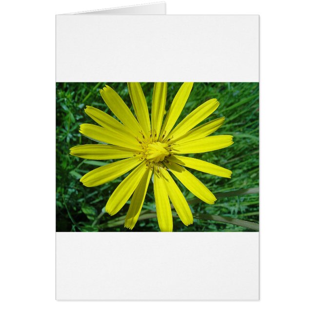 318.JPG HÄLSNINGSKORT (Framsidan)