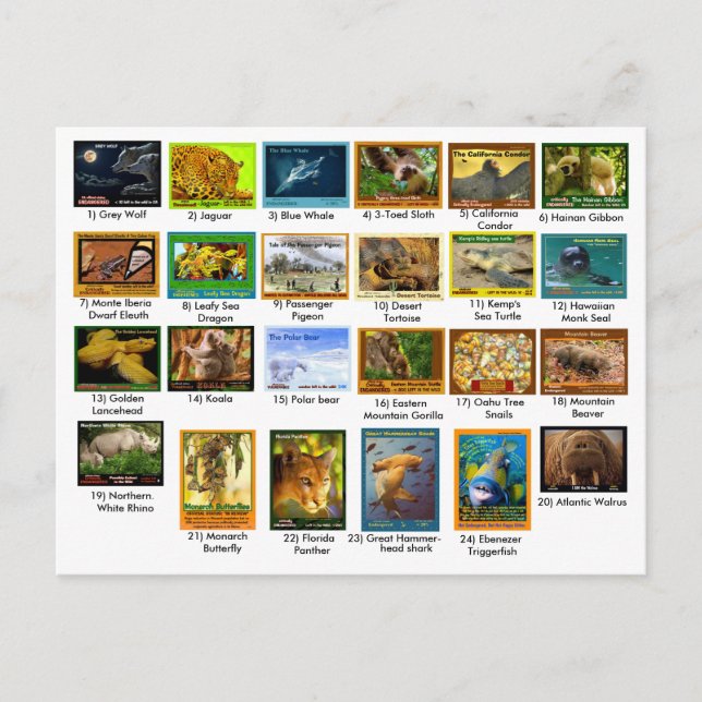 31 mars 2018, indexsida, 24 paket vykort (Framsida)