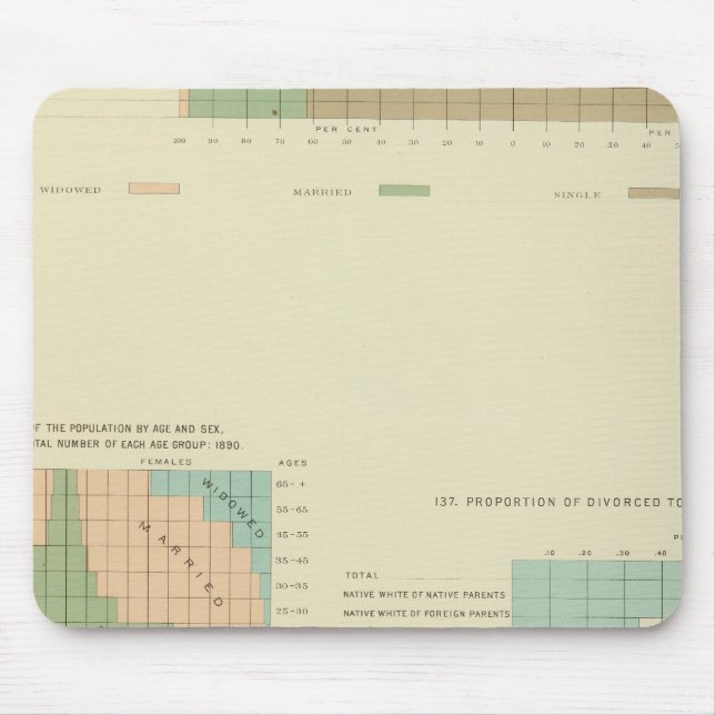 32 Conjugal villkor, skild 1890 Musmatta (Framsidan)
