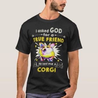33 Han skickade mig en Corgi T Shirt