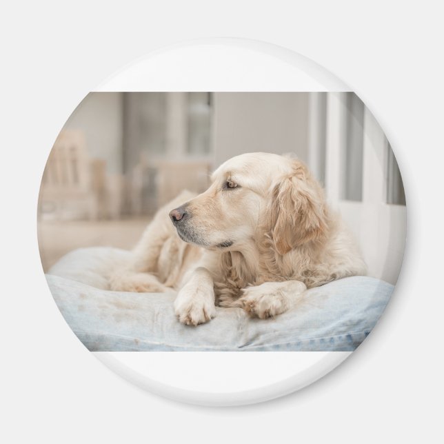 34137641_xxl magnet (Framsidan)