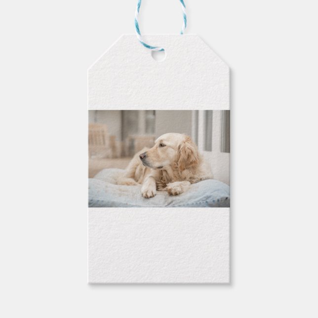 34137641_xxl presentetikett (Framsidan)