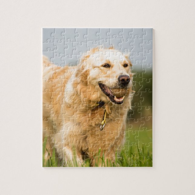 34520685_xxl pussel (Vertikal)