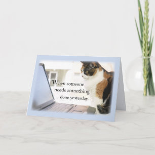 3588 Admin Pro Cat Computer, Humor Kort