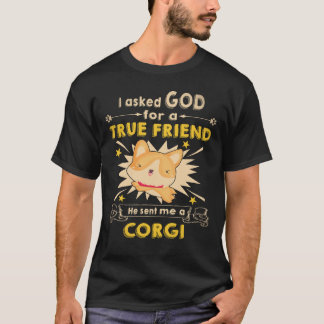 35 Han skickade mig en Corgi T Shirt