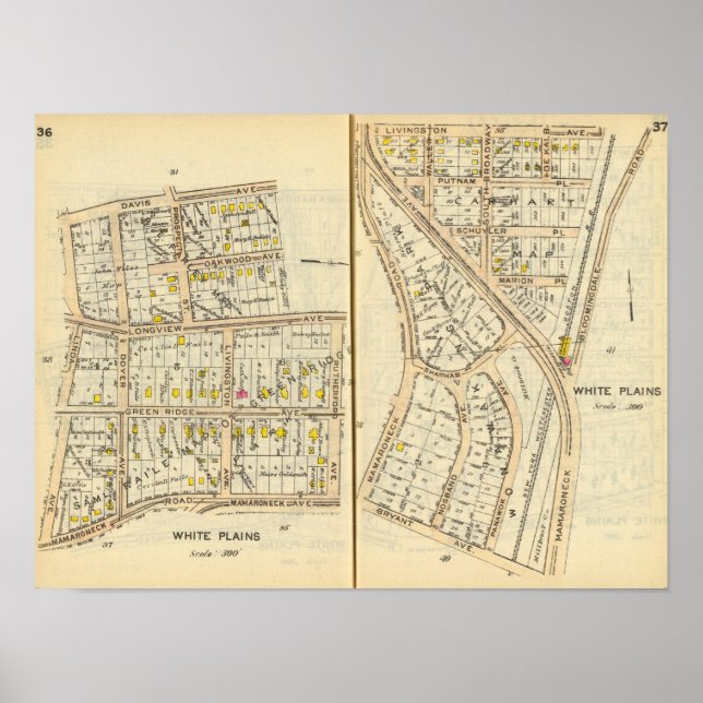 36-37 vita slättor poster (Framsidan)