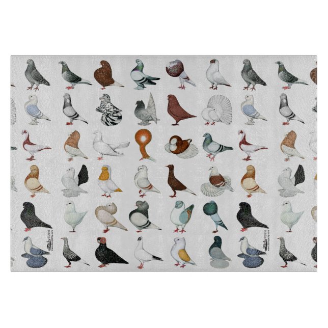 36 Pigeon-raser (Framsidan)