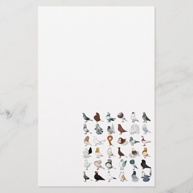 36 Pigeon-raser Brevpapper (Framsida)