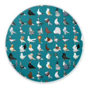 36 Pigeon-raser Knopp