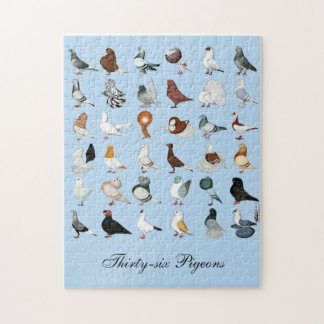 36 Pigeon-raser Pussel