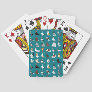36 Pigeon-raser Spelkort