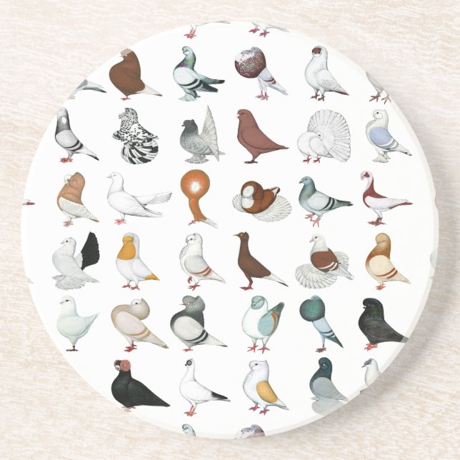 36 Pigeon-raser Underlägg Sandsten (Framsidan)