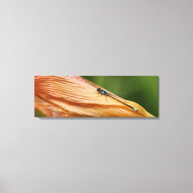 36 tum x 12 tum, 1,5 tum, ett Kanvastryck (Framsida)