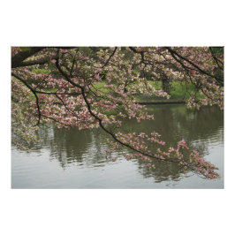 36-tums x24-tums Rosa Dogwood Fototryck
