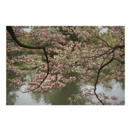 36-tums x24-tums Rosa Dogwood Fototryck