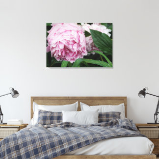 36-tums x24-tums Rosa Peony Canvastryck