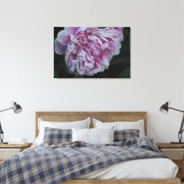 36"x24" Rosa Peony Canvastryck