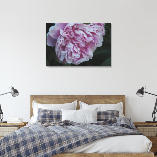 36"x24" Rosa Peony Canvastryck (Insitu (sovrum))
