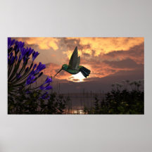 36" x40" papper poster w" "Flyg från Hummingbird