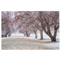 36 x 24 Metall-väggkonst