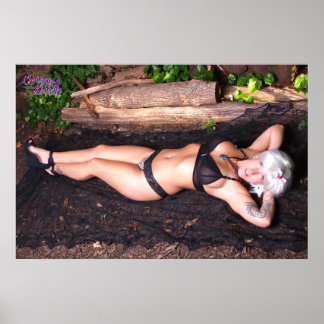 36 x 24 tum kattungar vid loggen poster