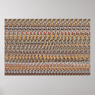 36 x 24 tum "Uppspelning av valpar" 3D Magic Öga Poster