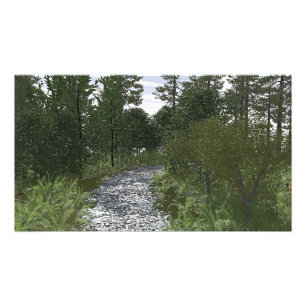 36 x 24-tums papper poster med "Stoney Way"-bild