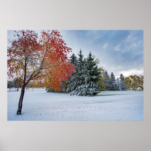 36 x 24 VäggPoster Poster