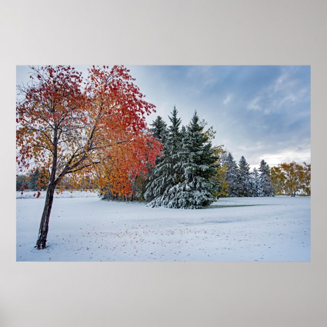 36 x 24 VäggPoster Poster (Framsidan)