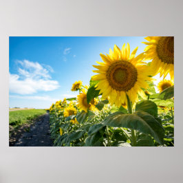 36 x 24 VäggPoster Poster