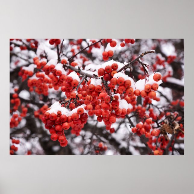 36 x 24 VäggPoster Poster (Framsidan)