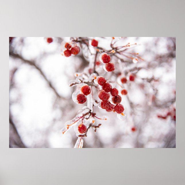 36 x 24 VäggPoster Poster (Framsidan)