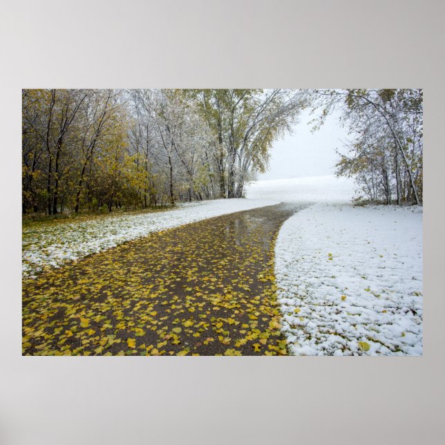 36 x 24 VäggPoster Poster (Framsidan)