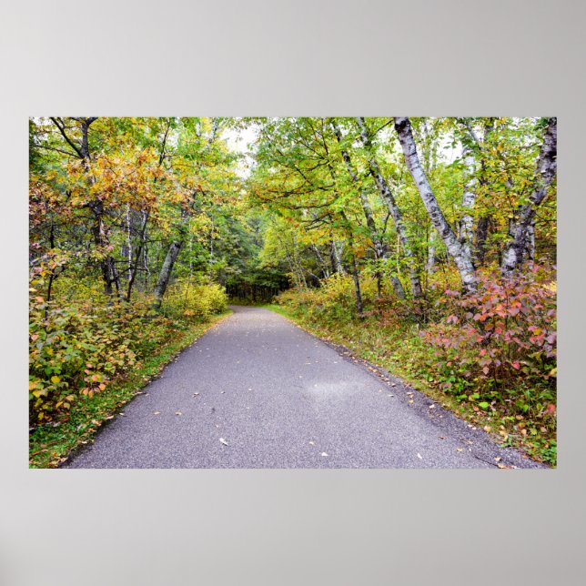 36 x 24 VäggPoster Poster (Framsidan)