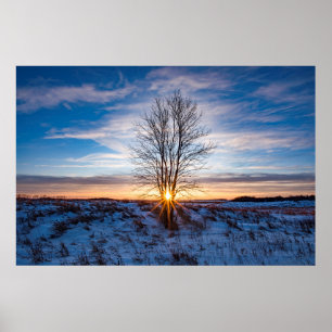 36 x 24 VäggPoster Poster