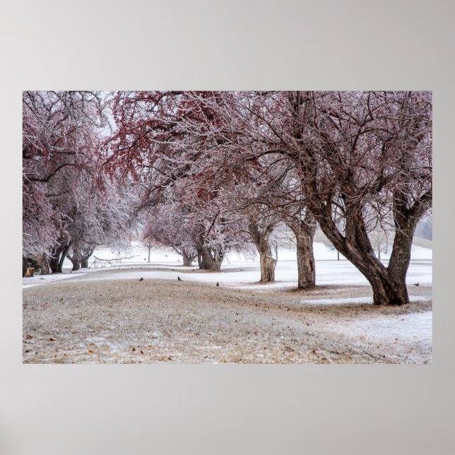 36 x 24 VäggPoster Poster (Framsidan)