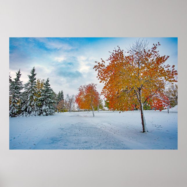 36 x 24 VäggPoster Poster (Framsidan)