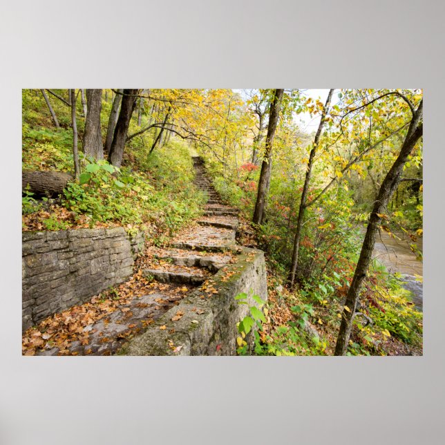 36 x 24 VäggPoster Poster (Framsidan)